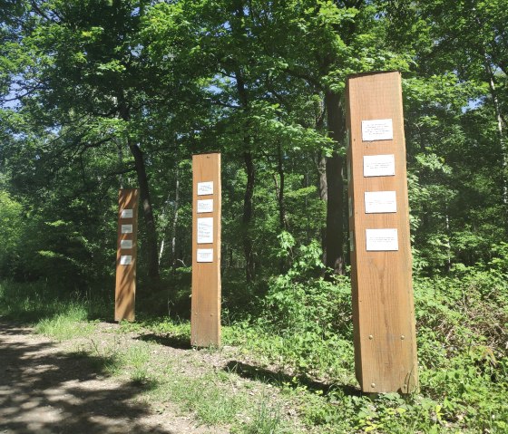 Historischer Wanderweg Stockheim, © Sophia Eckerle