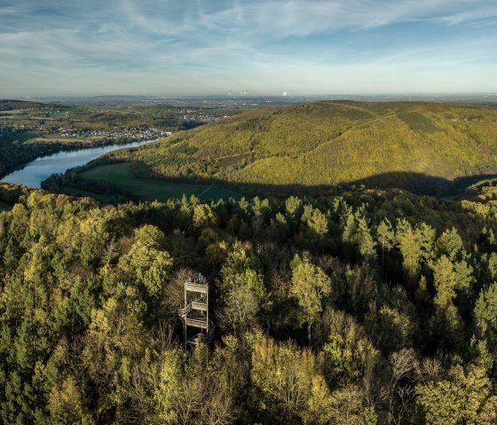 Tour d'émeute dans la forêt, © Eifel Tourismus GmbH, Dominik Ketz