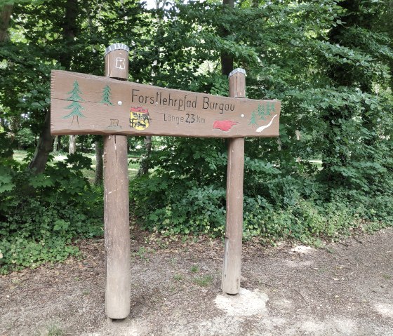 Wegweiser zum Forstlehrpfad im Wald von Schloss Burgau., © Sophia Eckerle | Kreis Düren