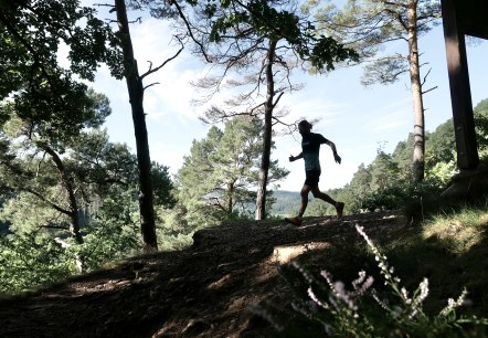 TrailRun Rureifel, © Henning Lenertz