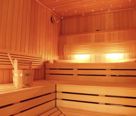 Sauna mit Sternenhimmel, © Rotes Einhorn