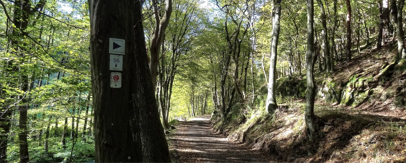 Wegstück mit Wald und Beschilderung, © Der Eifelyeti.de