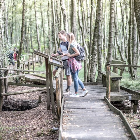 Der 4,5 Kilometer lange Bodenlehrpfad Todtenbruch in Hürtgenwald-Raffelsbrand führt auf circa 700 Metern über Holzbohlen durch ein einzigartiges Hochmoor., © Dennis Stratmann / Kreis Düren