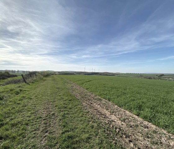 Uitzicht op het Börd landschap, © Rureifel-Tourismus e.V.