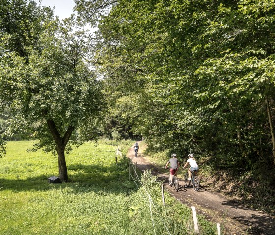 Familie auf dem RurUfer-Radweg, © Dennis Stratmann | Grünmetropole e.V.