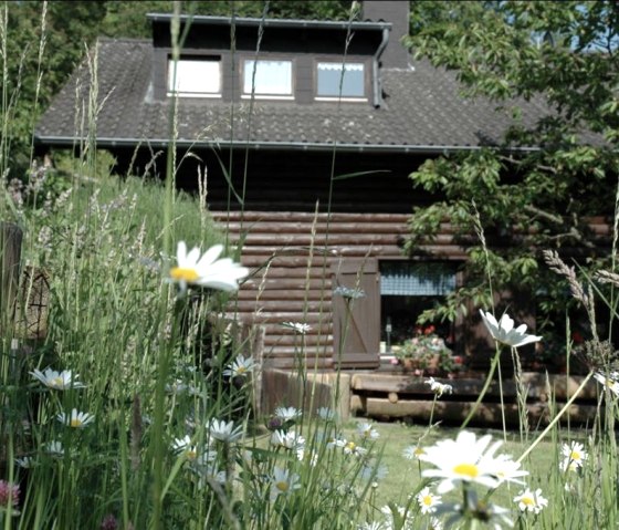 Wohnung - die Birke, © Pension Haus Diefenbach