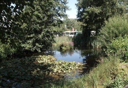 Teich am Campingplatz, © Campingplatz Felsenblick