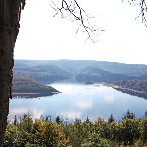 Blick von der Steilküste auf den Rursee