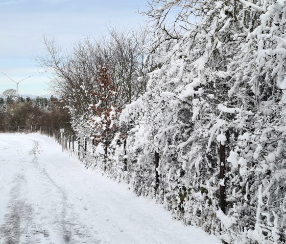 Pays d'hiver Abenden