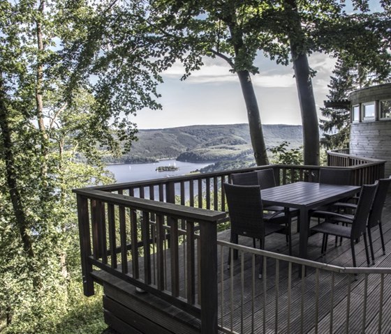 Ferienhaus Waldhaus Anne Terrasse