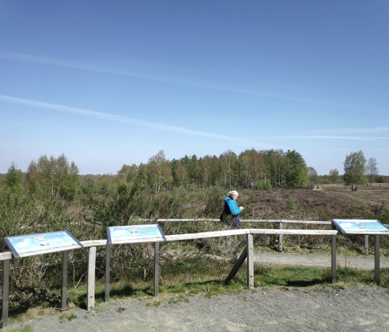 Aussichtshügel in der Drover Heide., © Sophia Eckerle