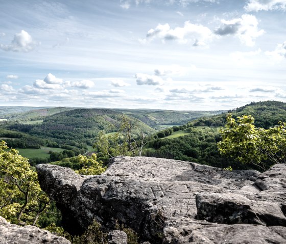 Blick ins Rurtal, © Dennis Stratmann | Grünmetropole e.V.