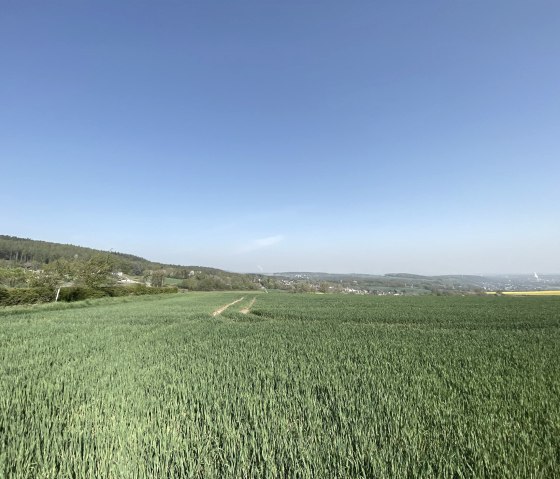 Bördelandschaft met weids uitzicht, © Rureifel-Tourimus e.V.