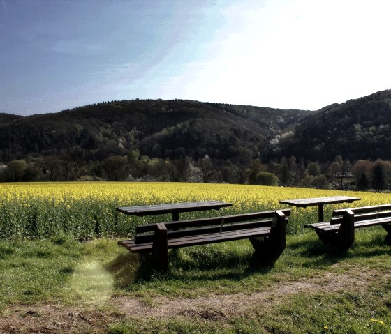 Pause mit Aussicht ins Rapsfeld