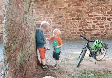 Kastanien sammeln auf Burg Nideggen, © Paul Meixner | www.die-wasserburgen-route.de