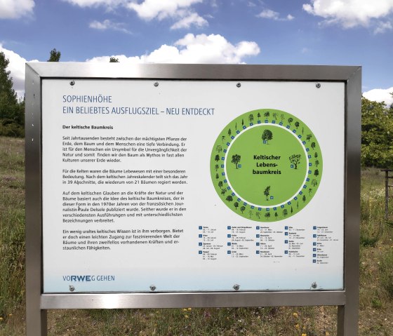 Infotafel Keltischer Baumkreis Sophienhöhe, © Sophia Eckerle | Kreis Düren