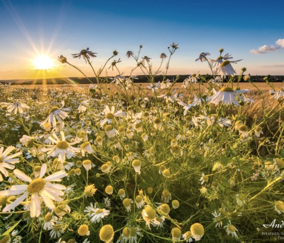 Sonnenuntergang Bei Hürtgenwald-Grosshau, © Andy Holz | Kreis Düren