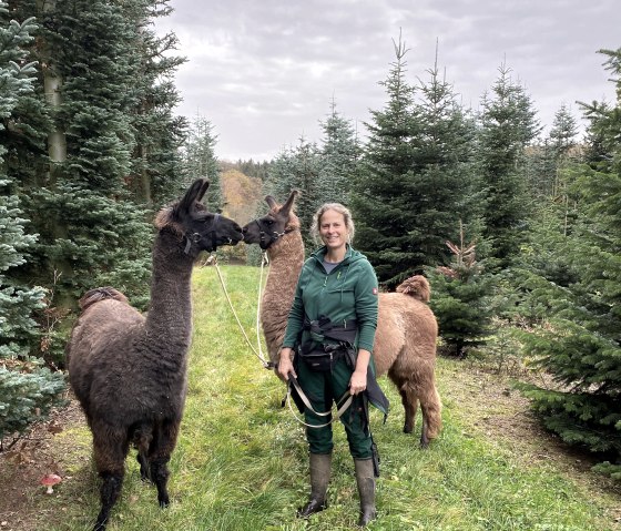 Bain de forêt avec des lamas et des alpagas, © Anne Knein