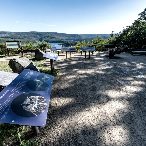 SternenBlick Nideggen-Schmidt, © NIls Nöll