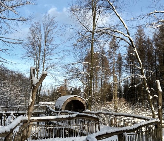 Fun in the snow on the Wilden Kermeter