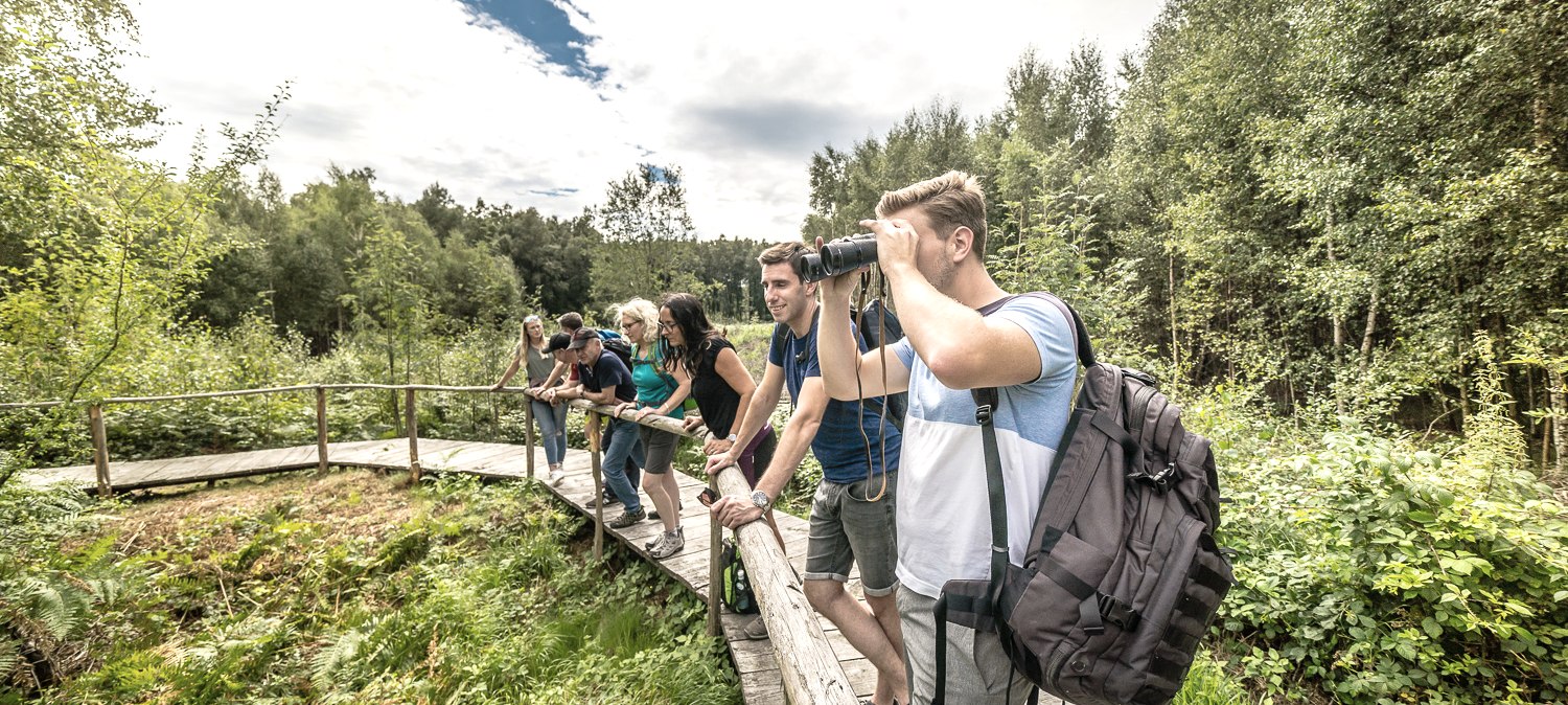 Der 4,5 Kilometer lange Bodenlehrpfad Todtenbruch in Hürtgenwald-Raffelsbrand führt auf circa 700 Metern über Holzbohlen durch ein einzigartiges Hochmoor., © Dennis Stratmann / Kreis Düren