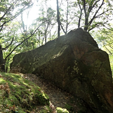 Hübsche Begleiter entlang des Wegesrandes, © Karl-Heinz Rosenzweig, Der-eifelyeti.de, © Der-eifelyeti.de