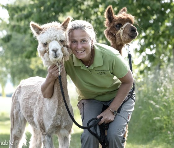 Kuscheln mit Alpakas, © Anne Knein