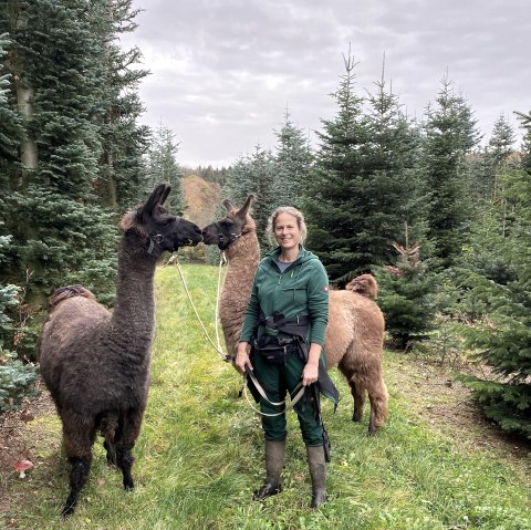 Bain de forêt avec des lamas et des alpagas, © Anne Knein