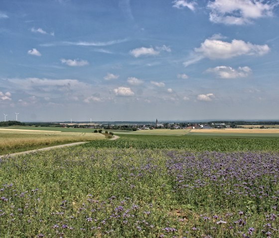 Bördeblick