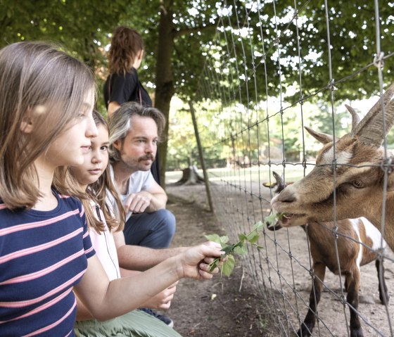 Familie am Tiergehege im Brückenkopf-Park, © Tobias Vollmer | Eifel Tourismus GmbH