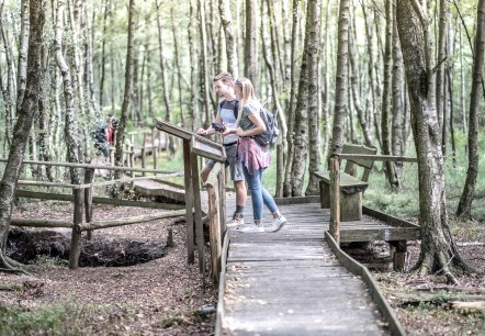 Der 4,5 Kilometer lange Bodenlehrpfad Todtenbruch in Hürtgenwald-Raffelsbrand führt auf circa 700 Metern über Holzbohlen durch ein einzigartiges Hochmoor., © Dennis Stratmann / Kreis Düren