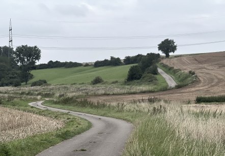 Wollersheimer Mühlenweg, © Rureifel-Tourismus e.V., Michelle Wiesen