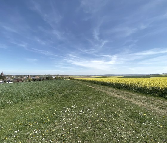 Bördeblick mit Aussicht, © Rureifel-Tourismus e.V.