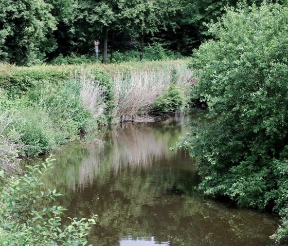 Fossés près du château de Hardtburg