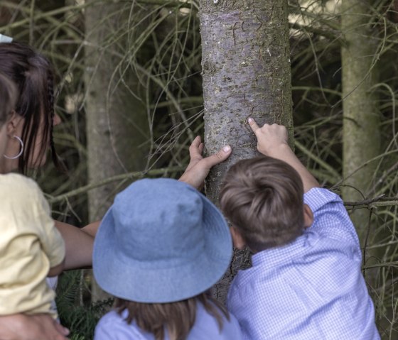 Lerne alles über den Lebensraum des Bibers, © Eifel Tourismus GmbH_ Vollmer