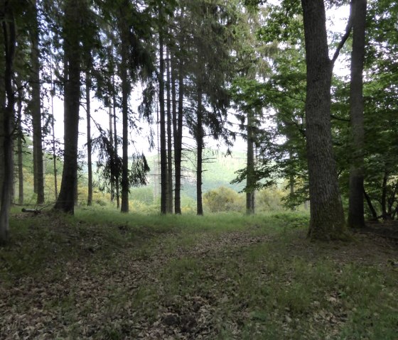 Wandern durch den Nationalpark Abenden