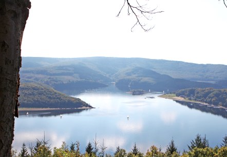 Blick von der Steilküste auf den Rursee