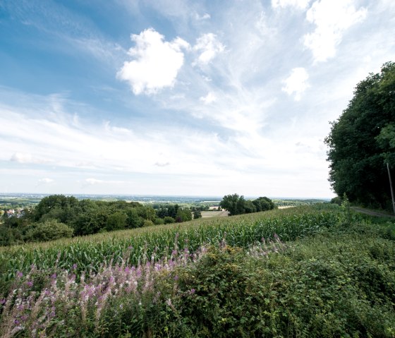 Blick auf die Jülicher Börde, © some.oner