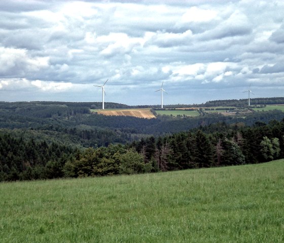 Ausblick entlang der 4 Täler Route, © Der Eifelyeti.de