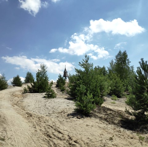 Auf der rekultivierten Abraumhalde des Tagebaus Hambach lässt es sich herrlich Wandern und Radfahren, © Sophia Eckerle / Kreis Düren