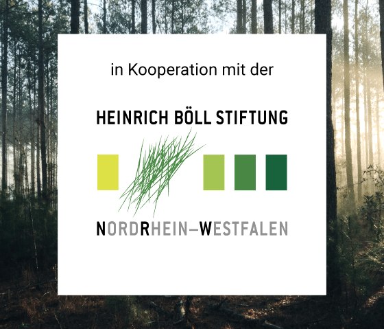 Kooperation Heinrich Böll Stiftung