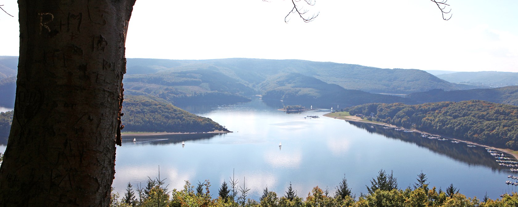 Blick von der Steilküste auf den Rursee