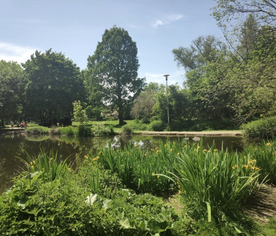 Holzbendenpark Düren, © Sophia Eckerle