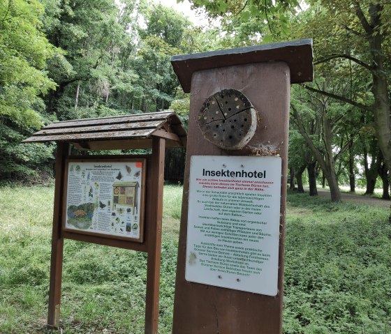 Insektenhotel im Wald von Schloss Burgau, © Sophia Eckerle | Kreis Düren