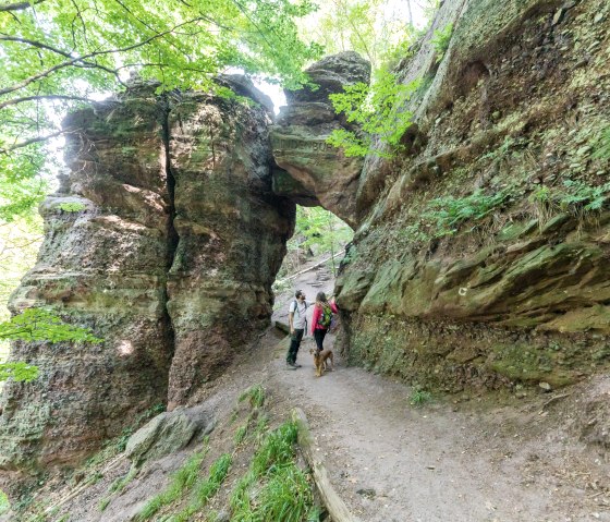 Kurioser Fels: Das Hindenburgtor bei Nideggen, © Eifel Tourismus GmbH, AR-shapefruit AG