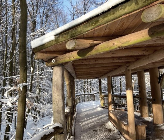 Le Kermeter sauvage sous la magie de l'hiver