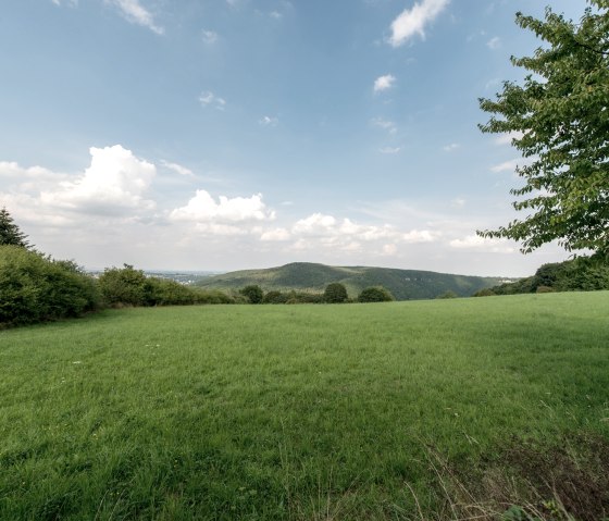 Ausblick Weidefläche, © some.oner