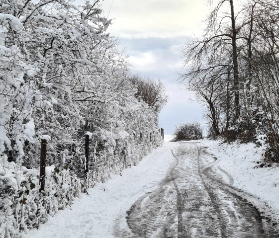 Hiking through the snow