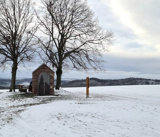 Across fields and meadows