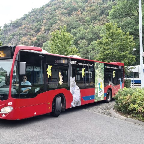 Der Rurtalbus, © Rath-Gruppe